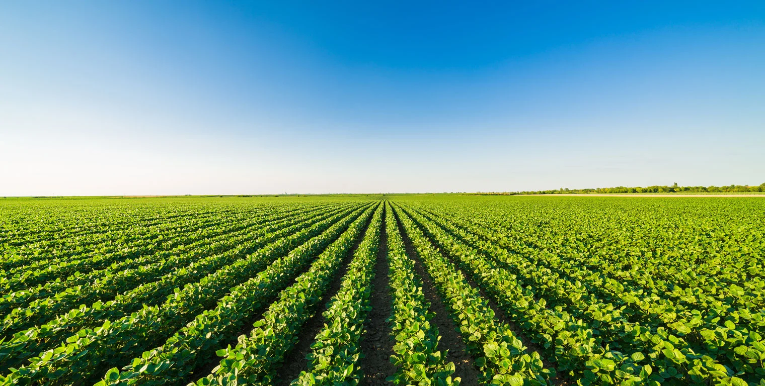 Exigences de qualité plus élevées