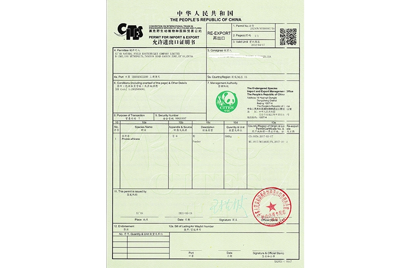 Histoire du champ naturel