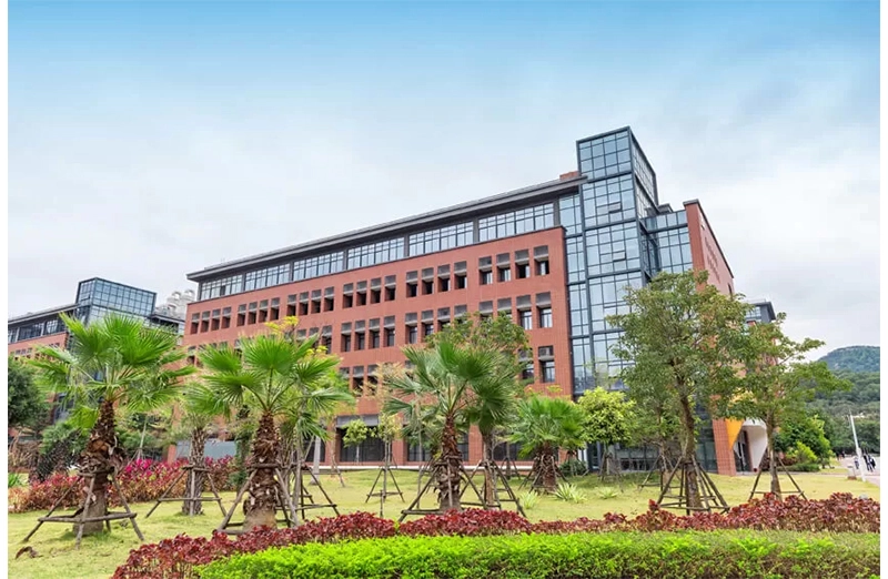 Histoire du champ naturel