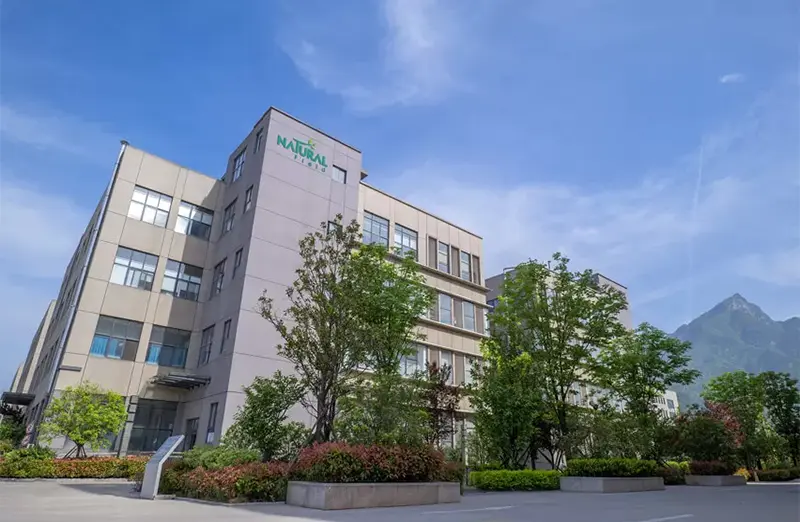 Histoire du champ naturel