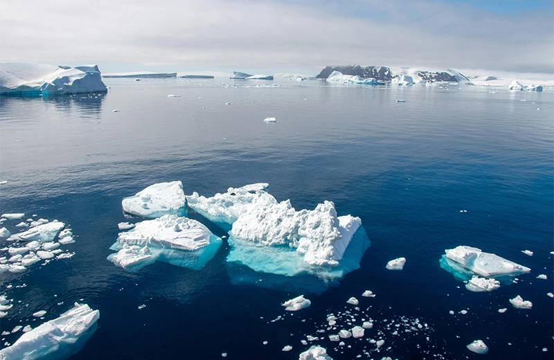 Durabilité du champ naturel