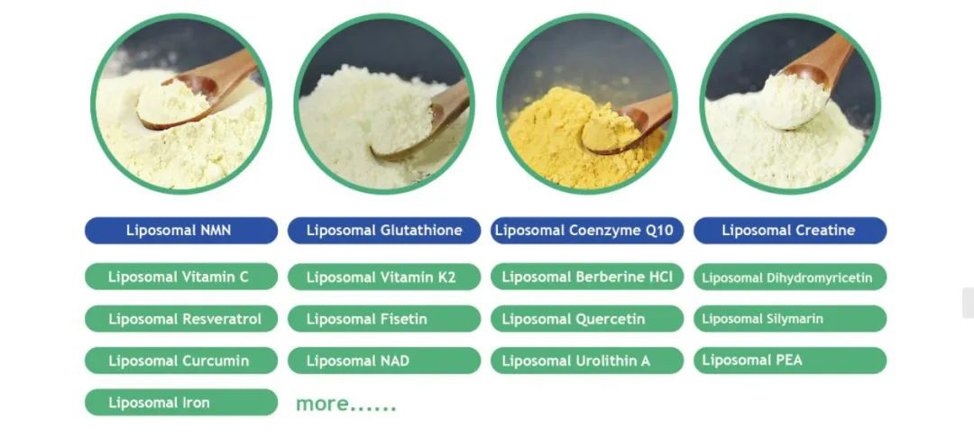 liposome technology platform successfully launched