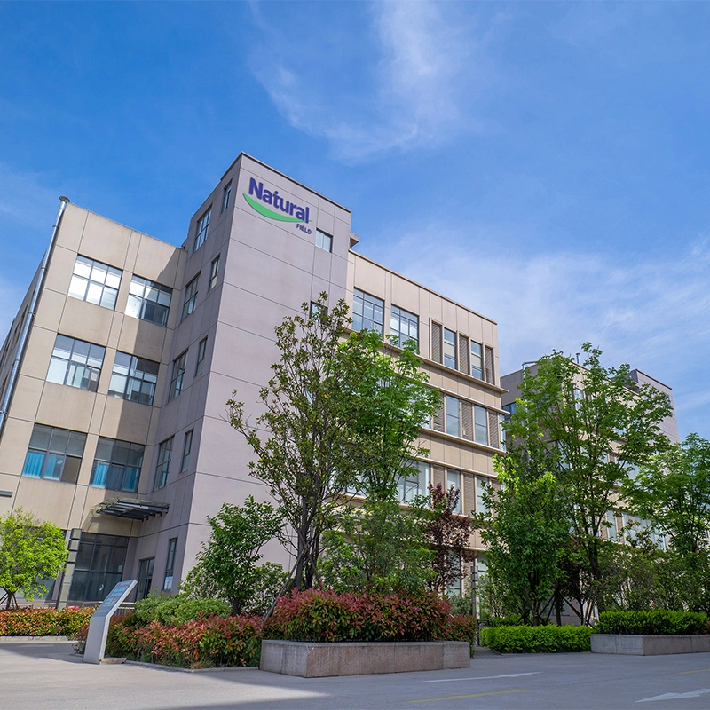 Solution à guichet unique sur champ naturel