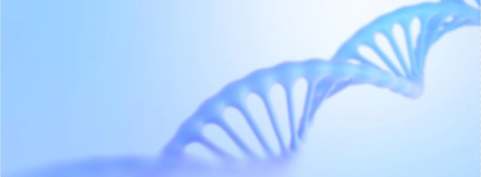 Supplément de champ naturel Ingrédients en gros