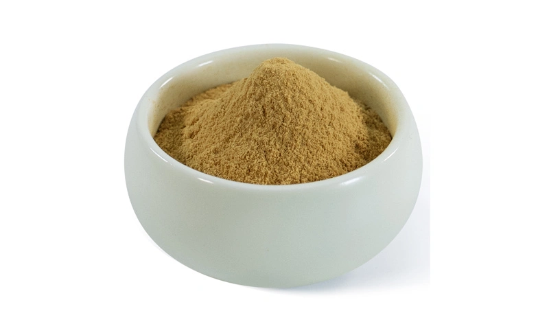 Extrait de Tongkat Ali; Extrait d'Eurycoma Longifolia Jack