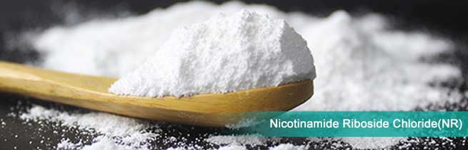 liposomal coenzyme q10 