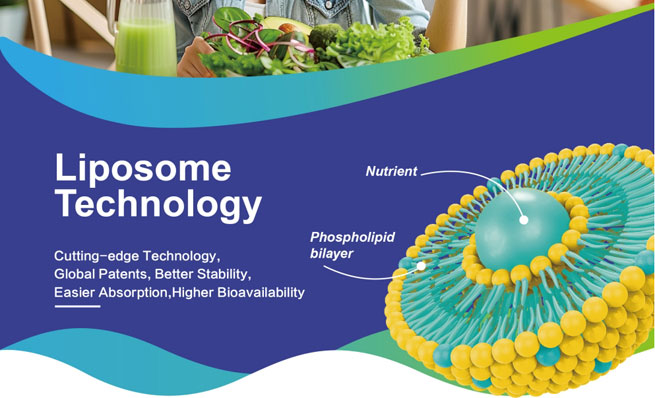 liposomal r lipoic acid