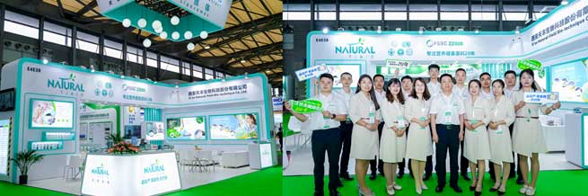 arbutin and alpha arbutin 