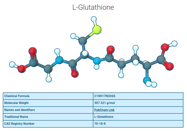 eurycoma longifolia root extract