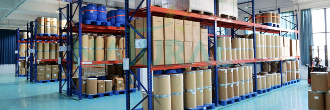 nettle root supplement 