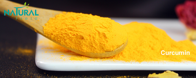 Curcumin Ingredients