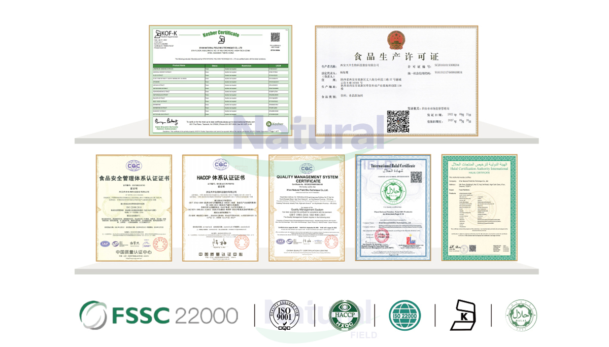 Acanthopanax Senticosus Eleuthero Root Extract