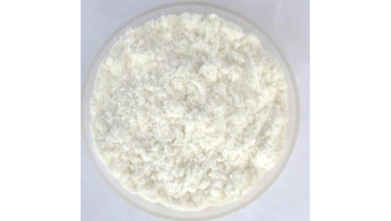 Scie Palmetto Extrait