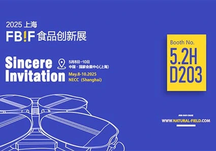 Quels sont les processus d'extraction pour la curcumine?