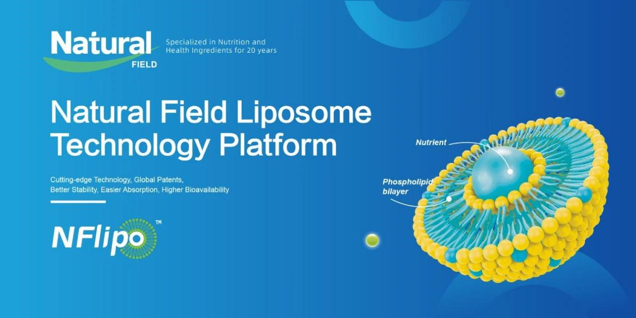 novel co loaded liposome