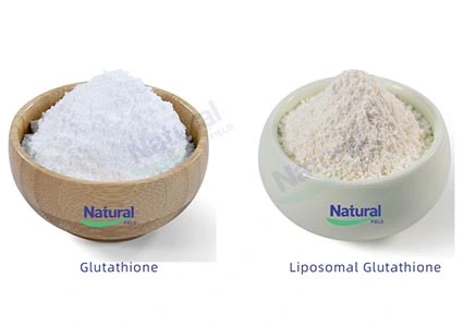 Quels sont les processus d'extraction pour la curcumine?
