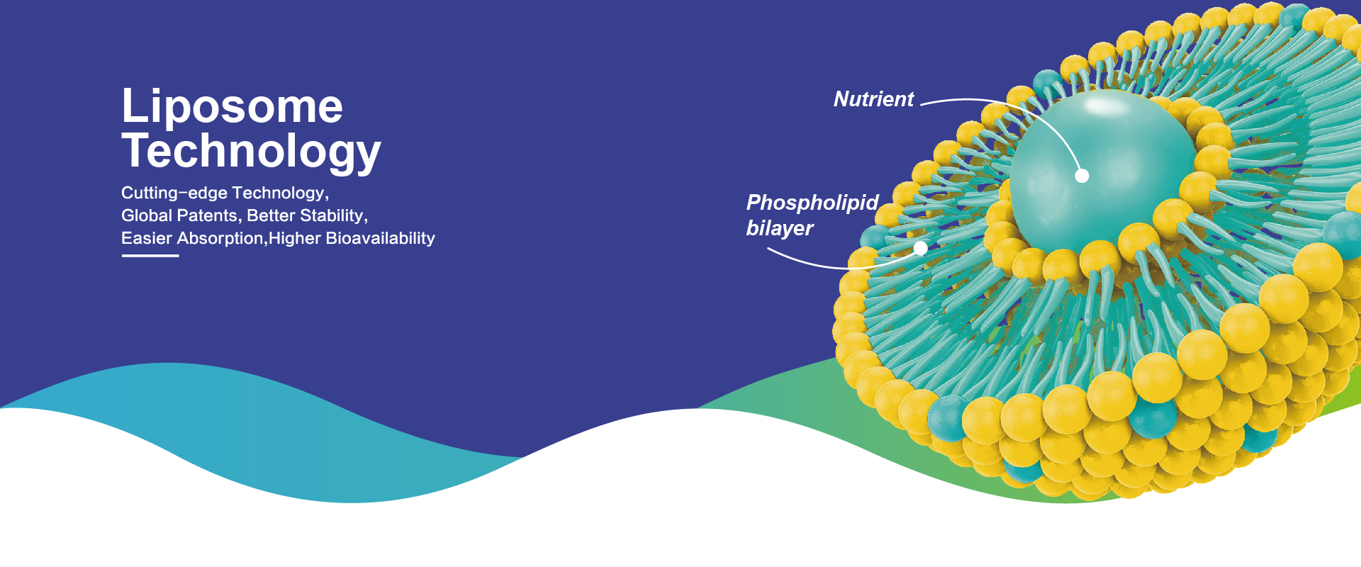 Produits de liposome de champ naturel