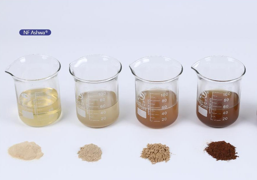 Nouvelle découverte de l'aide au sommeil naturel: double protection du magnésium et de l'Ashwagandha, vous aidant à profiter du slee profond