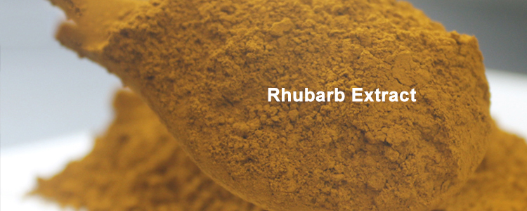 Quels sont les composants de l'extrait de rhubarbe?