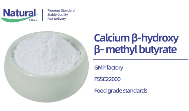 Quelles sont les fonctions et les domaines d'application du β-hydroxyméthyl butyrate de calcium (CaHMB)