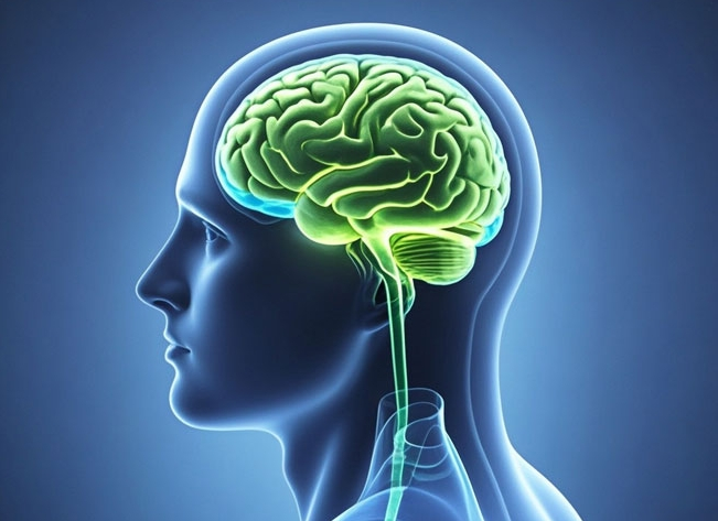 Les matières premières intermédiaires de la cytosine: la pierre angulaire de l'innovation pharmaceutique et le moteur d'une saine