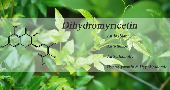 Quels sont les avantages de la dihydromyricétine?
