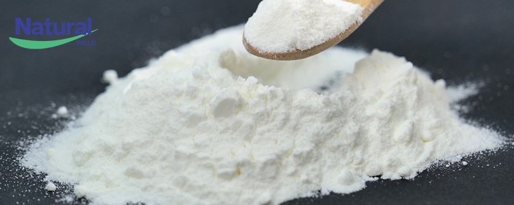 Champ naturel-Science populaire de la connaissance de la vitamine K2