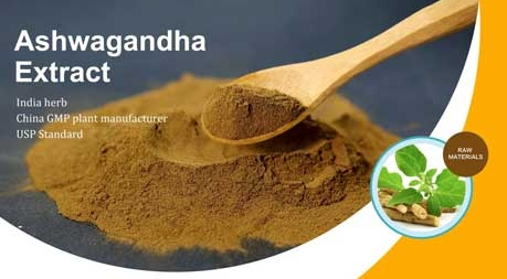 Découvrir le médicament miracle indien Ashwagandha