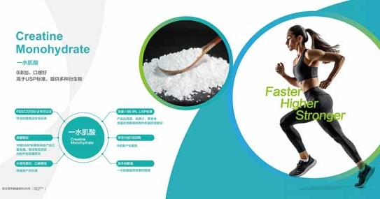 Ingrédients de supplément de nutrition sportive populaires recommandés en 2025