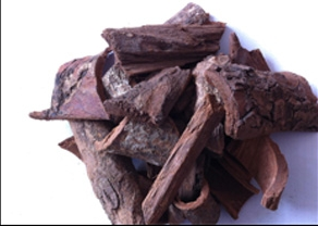 L'application miraculeuse de l'extrait de prune africaine dans le domaine de la santé