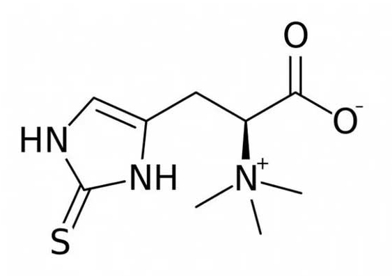 Swisse L-Ergothioneine et champ naturel L-Ergothioneine