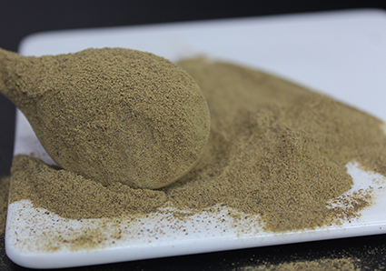 Extrait de Bacopa monnieri-avantages et effets secondaires