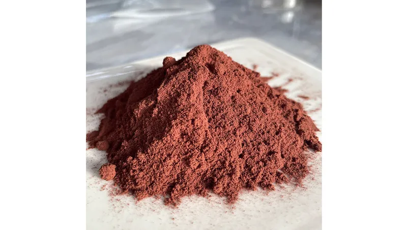 Extrait de pépins de raisin OPC95 %