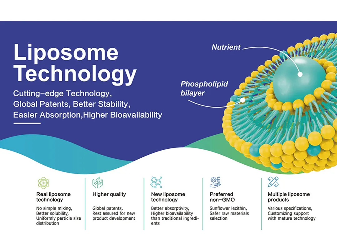 La montée en puissance du marché de la nutrition liposome! La révolution du taux d'absorption remod le paysage mondial des aliments santé