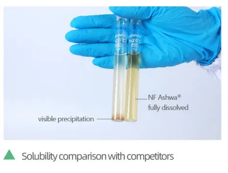 Quels sont les avantages de l'Ashwagandha soluble dans l'eau?