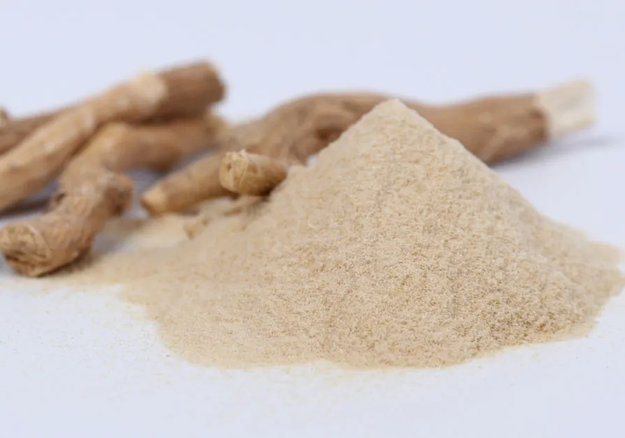 Comment choisir un fournisseur d'extrait d'Ashwagandha de haute qualité