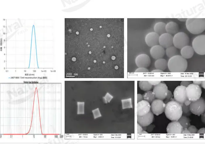 Comment distinguer l'authenticité des liposomes?