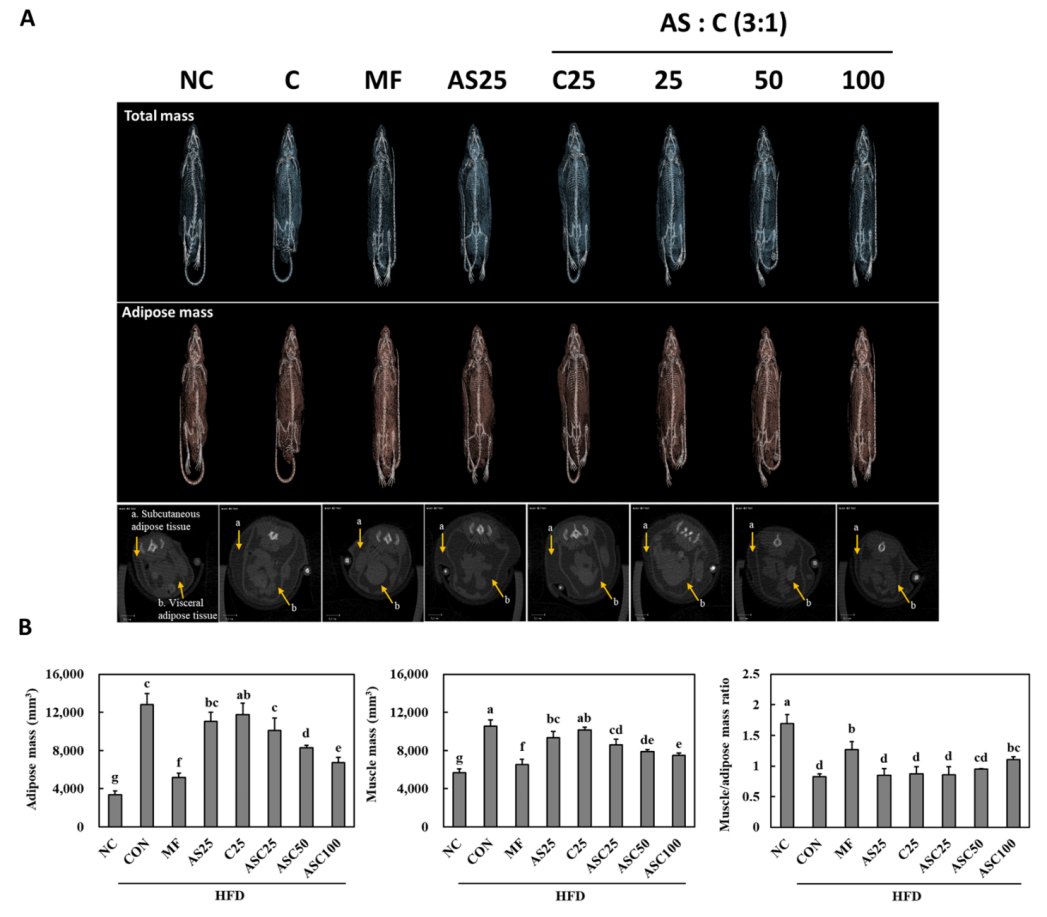 The_effect_of_ASC_complex_on_fat_and_muscle_mass_in_HFD-induced_obese_mice.png