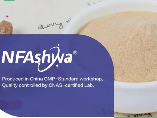 Extrait instantané d'Ashwagandha débitté pour briser les limitations traditionnelles et débloquer de nouveaux scénarios pour des applications à base de plantes