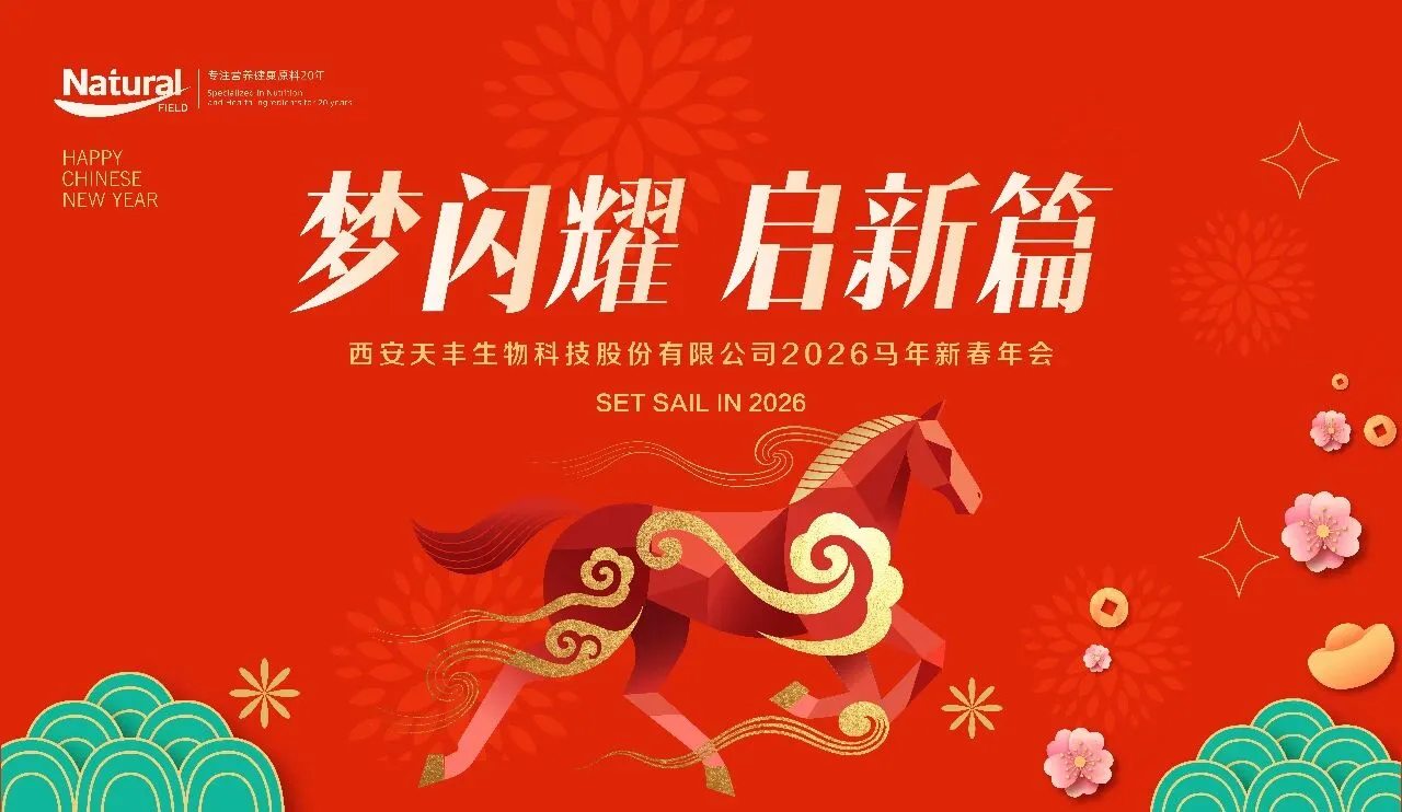 Dreams Shine · Embarquez pour un nouveau voyage-Réunion annuelle 2026 de la fête du printemps sur les champs naturels