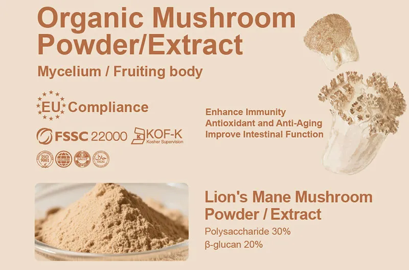 Comment trouver un fournisseur fiable d'extrait de champignons biologiques