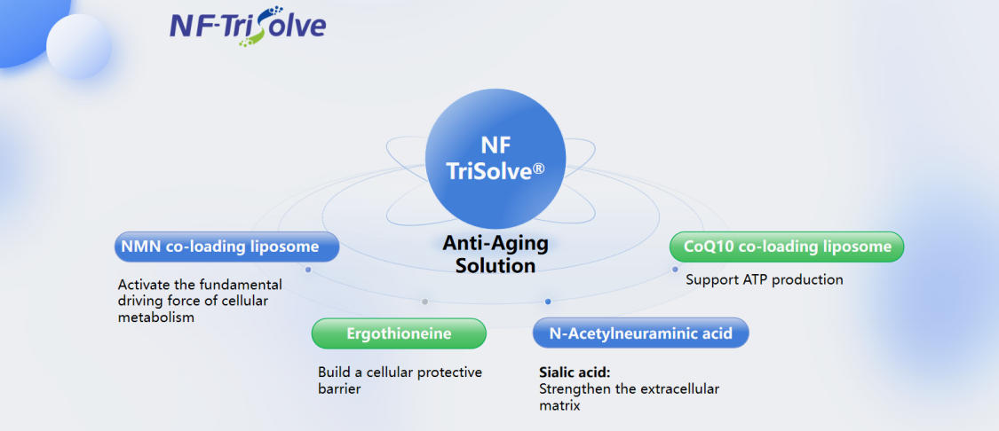 NF TriSolve® Anti‑Aging Solution.jpg NF TriSolve® Anti‑Aging Solution.jpg