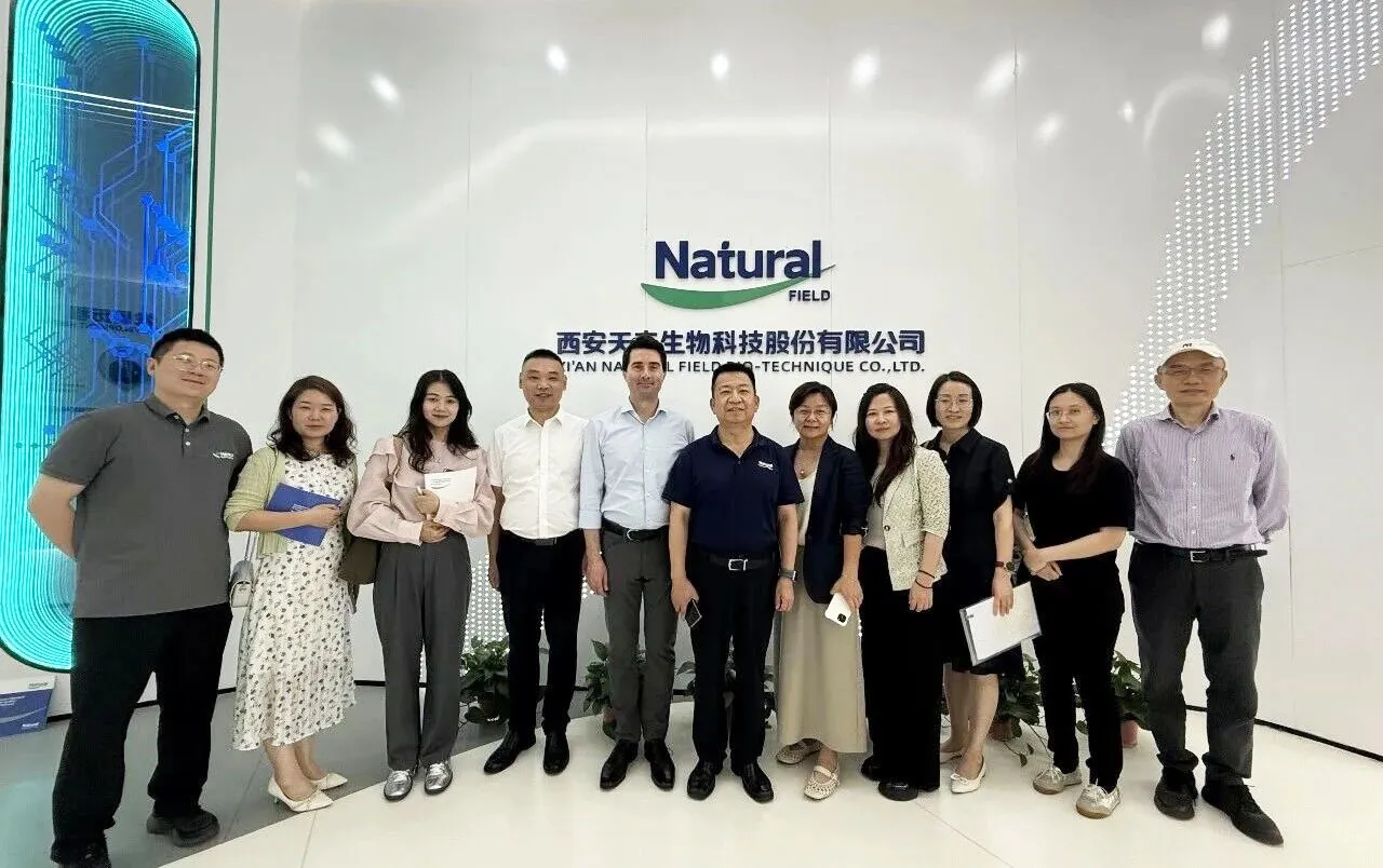 Les leaders internationaux de l'industrie effectuent une vérification sur site et un échange technique sur le terrain naturel.