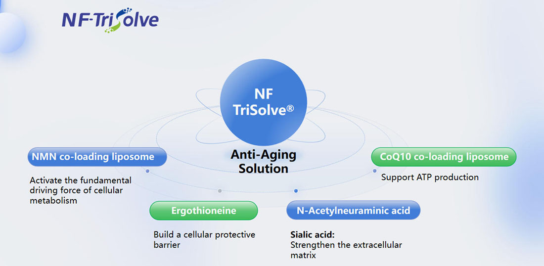 Anti-Aging_solution.jpg